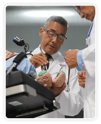 The Orgone Motor Program